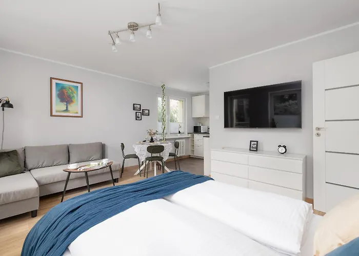 公寓 Beautiful Retro 536 For 6 People In By Renters 斯维诺乌伊希切